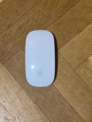 Magic Mouse 