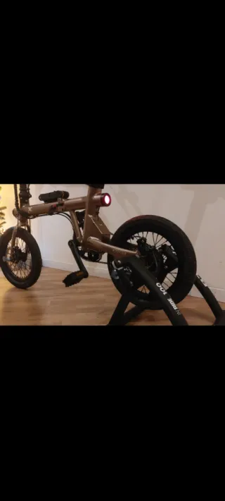 Bicicleta Eléctrica