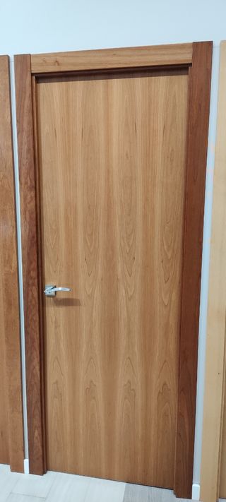 Puerta interior y blindada