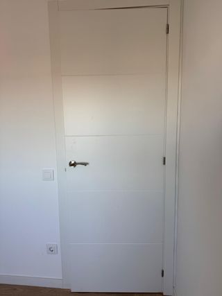 Puerta interior y blindada