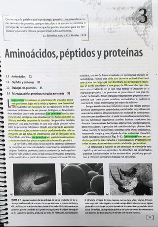 Libro Principios de bioquímica Lehniger