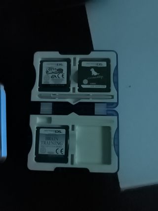 Nintendo DS fat