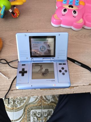 Nintendo DS fat