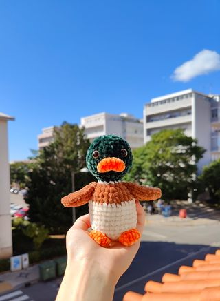 Mallard Duck | Pato real em Crochet - Amigurumi 