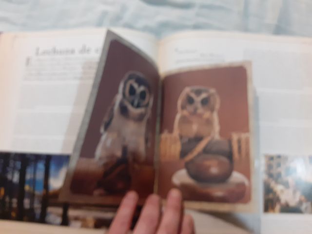 El Gran Libro de las Criaturas de Harry Potter