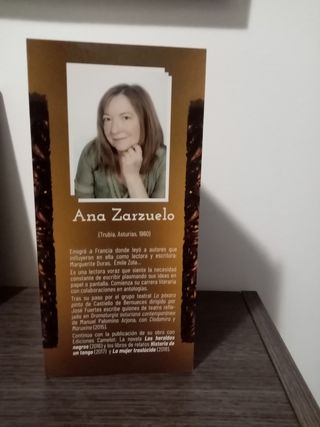 El espejo diabólico y Una Semana negra en Gijón