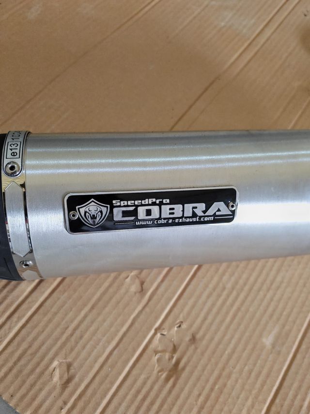 Escape Cobra Sport GP2-RR Slip On BMW F900 XR