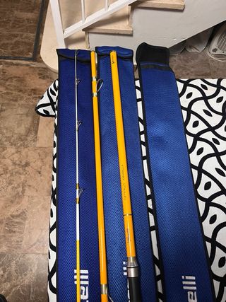 Cañas de pescar Vercelli