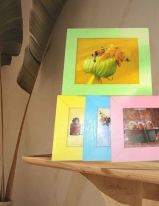 Cornici per foto in legno colorate