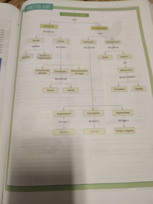 Bioloxía, Xeoloxía e Ciencias Ambientais. 1 Bac...