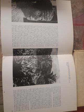 Egipcio, Maya, Griego, Inca, Ibero, Azteca, Romano