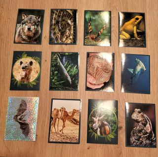 Mundo Animal: Los Récords - Álbum Panini