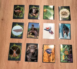 Mundo Animal: Los Récords - Álbum Panini