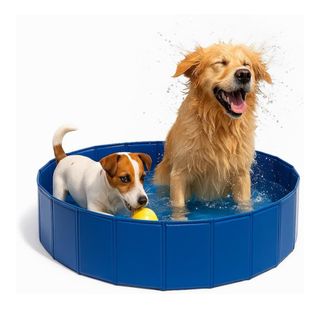 Piscina Plegable para Perros Azul