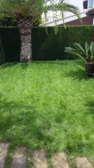 Jardineros Profesionales: Mantenimiento y Cuidado