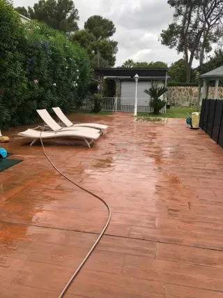 Jardineros Profesionales: Mantenimiento y Cuidado