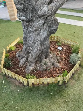 Jardineros Profesionales: Mantenimiento y Cuidado