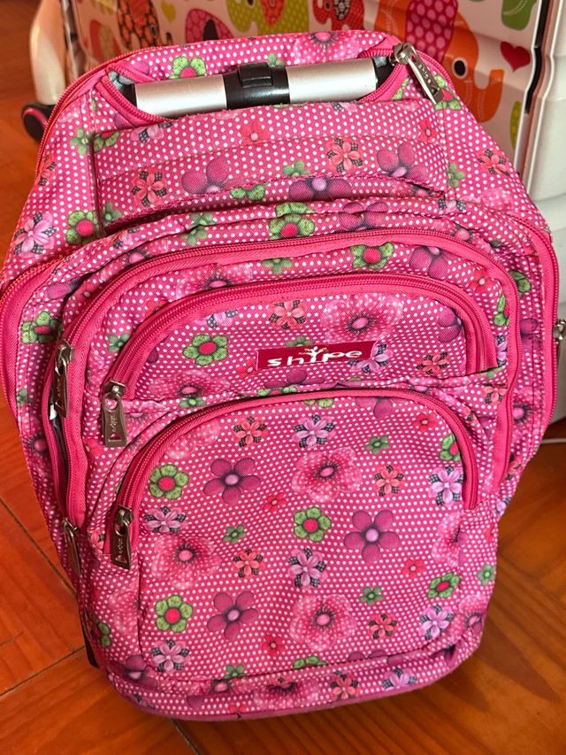 Mochila de carro con ruedas