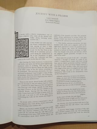 El Camino de Santiago (Spanish /English Edition)
