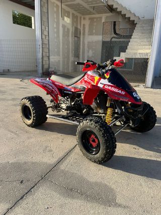 Gas Gas Wild 300 Quad
