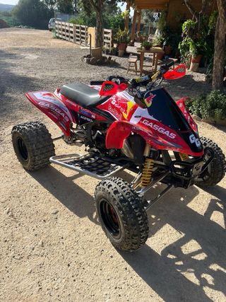 Gas Gas Wild 300 Quad