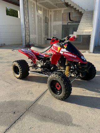 Gas Gas Wild 300 Quad