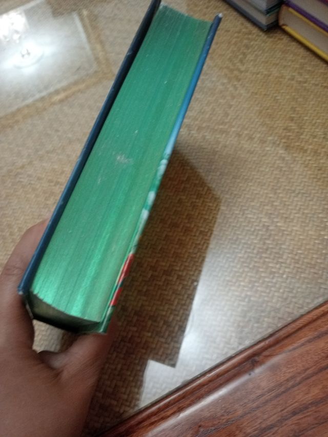 Reconquista del Reino de la Fantasía. Décimo vi...