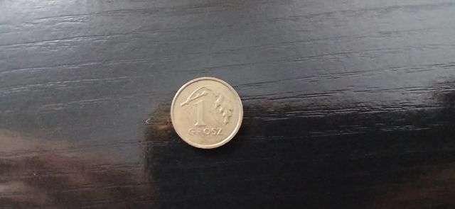 Moneta 1 Grosz polacco