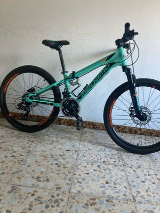 Bicicleta Megamo 24”