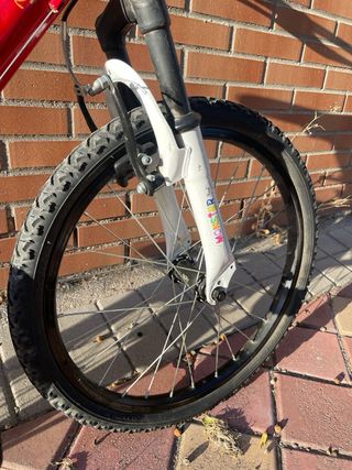 Bicicletta per bambini 20»