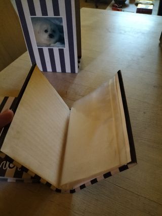 Raccoglitore Portafoto con 3 album con 24 inserti