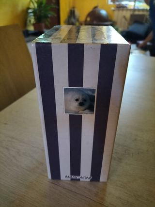 Raccoglitore Portafoto con 3 album con 24 inserti