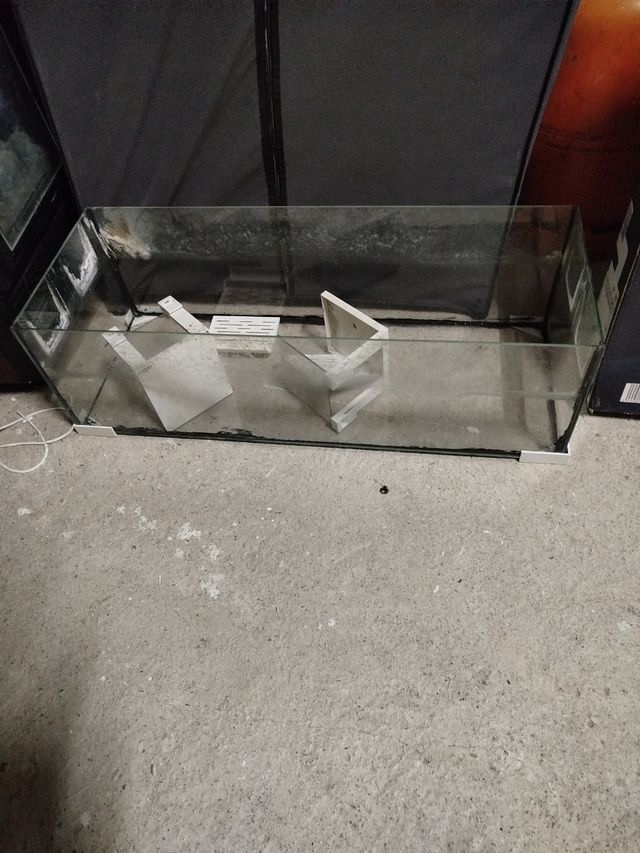 Urna de cristal 80 largo ancho 29 altura 24