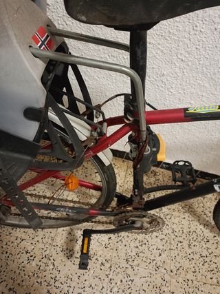Bicicleta BH con silla para niño
Mira mi perfil +