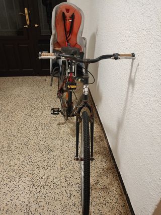 Bicicleta BH con silla para niño
Mira mi perfil +