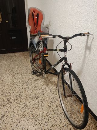Bicicleta BH con silla para niño
Mira mi perfil +