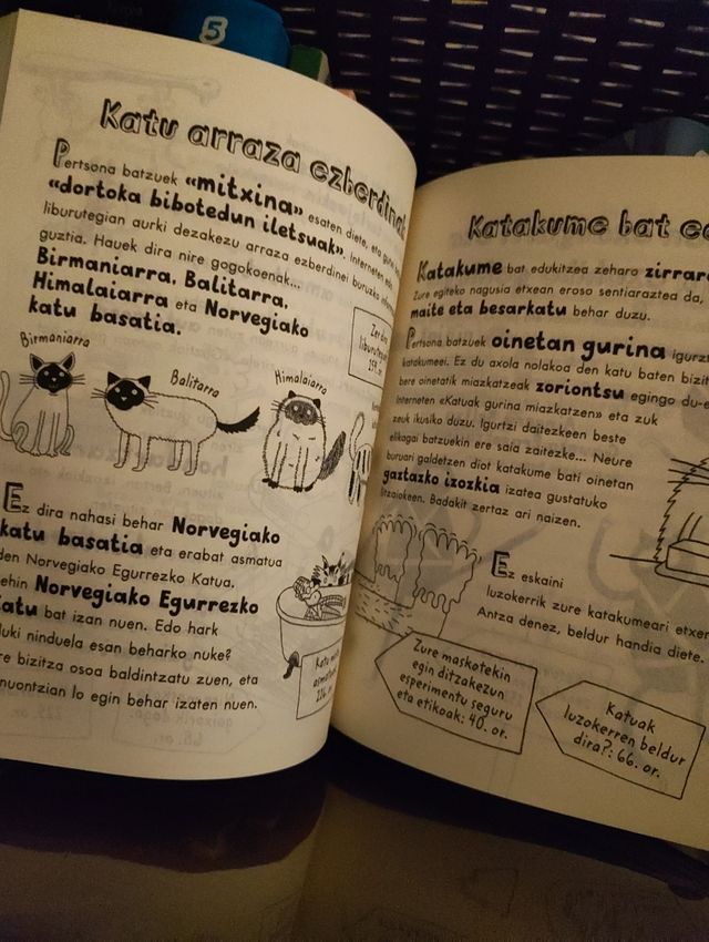 Maskoten bizitza dibertigarria