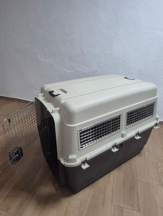 Transportín avión para perro grande