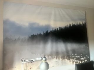 Tela da parete IKEA Landscape Forest Fog