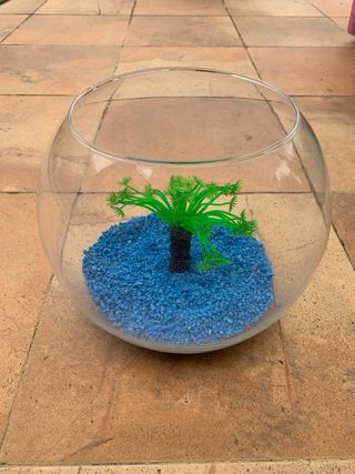 Pecera de cristal estilo bola