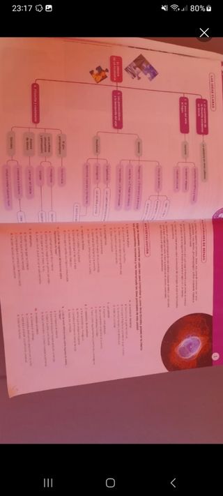 Libro de Historia de la Filosofía segundo bachille