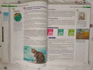 Filosofía 1º Bachillerato