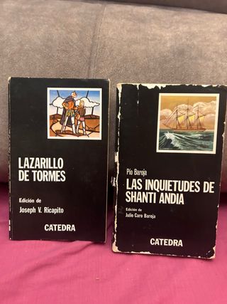 Lazarillo de Tormes y las inquietudes de Shanti