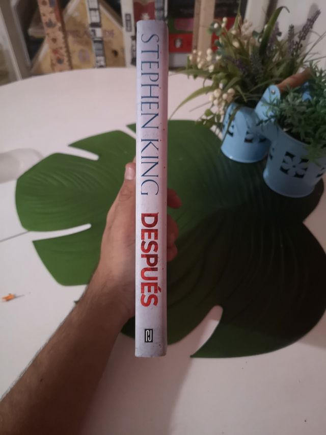 Después Stephen King 