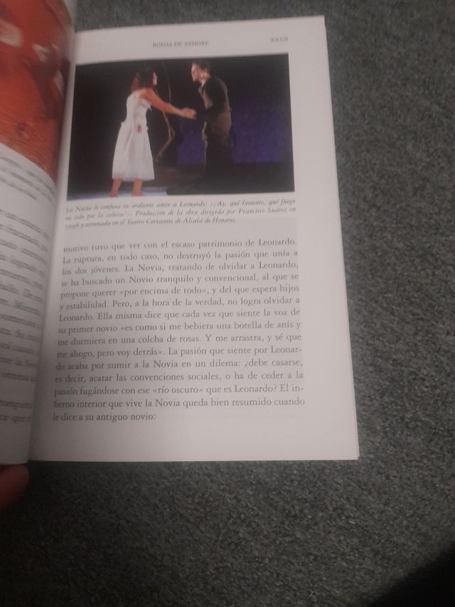 Bodas De Sangre (clasicos Hispanicos) (Spanish ...