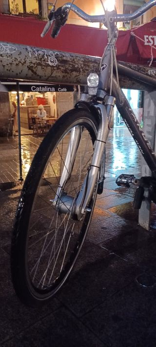 Bicicleta urbana plata