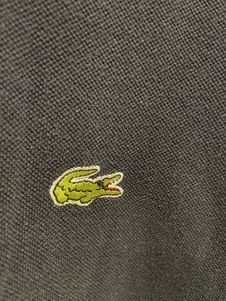 Camisa Lacoste Azul Marino