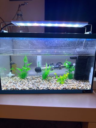 Acuario 10L