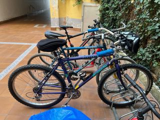 Bianchi Peregrine Retro MTB