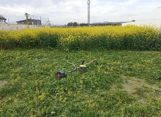Se desbroza parcela huertos terrenos etc Almería